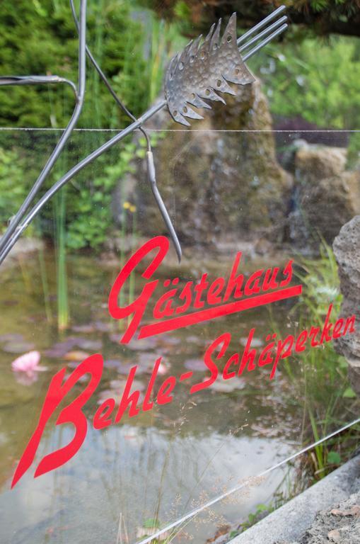 Gasthuis Gaestehaus Behle-schaeperken Willingen (Upland)